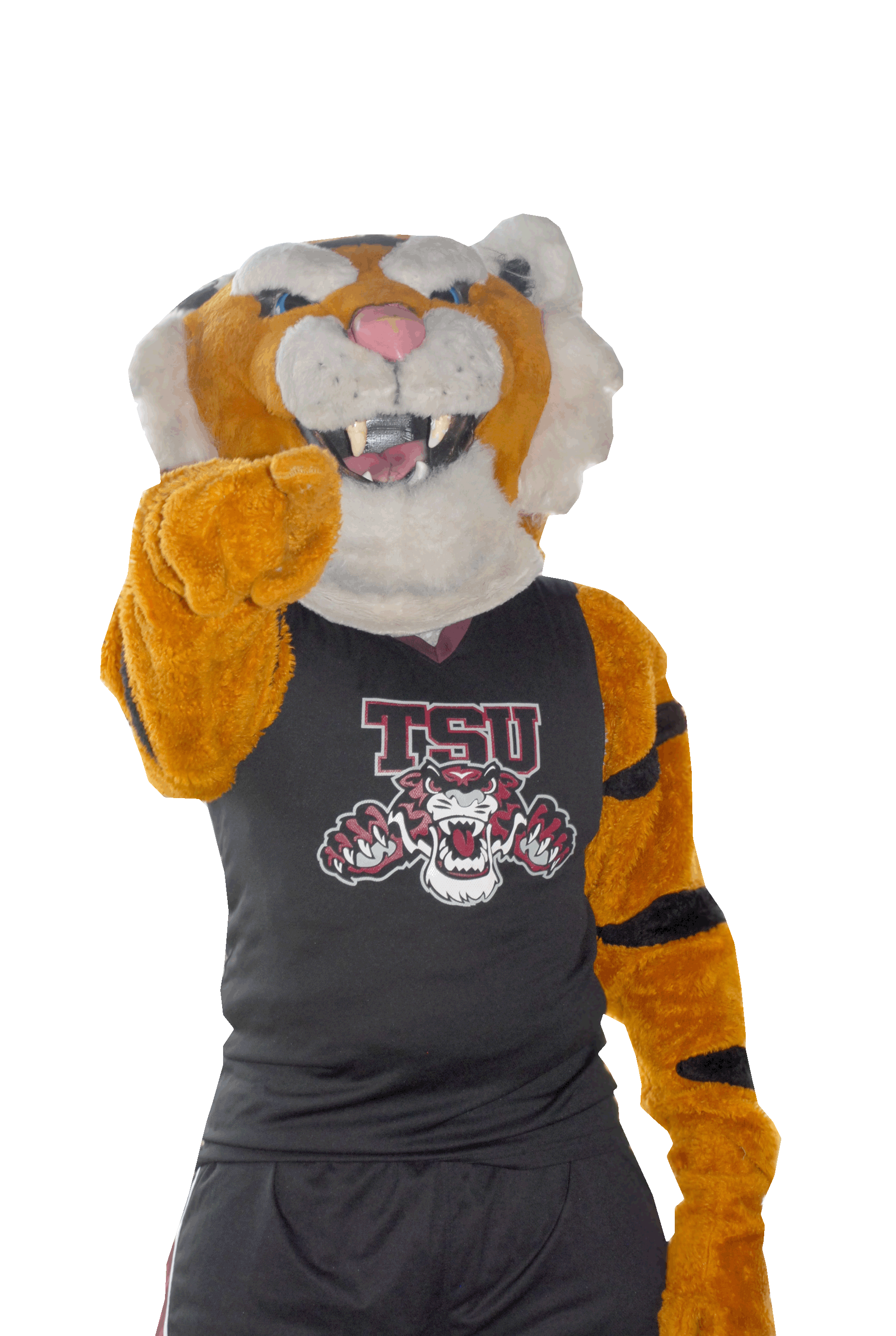 T S U Tiger